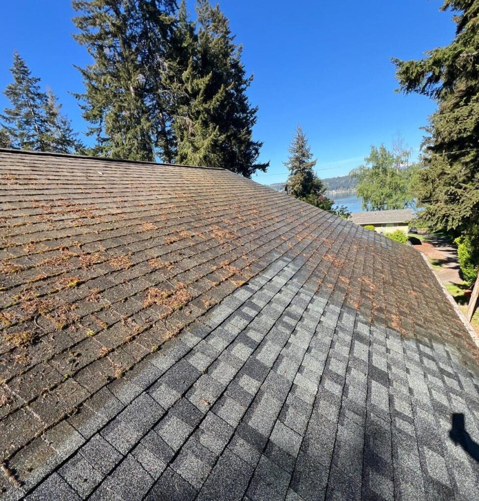 Roof Maintanance in Fife WA